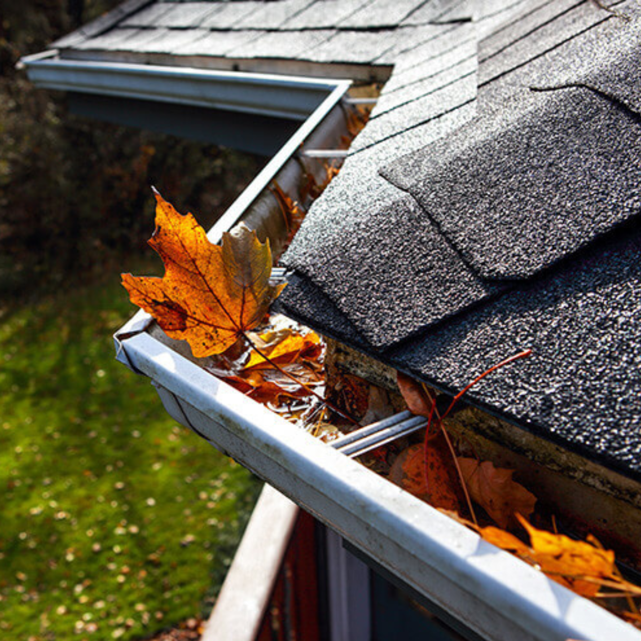 Leaf Protection System